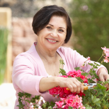 Senior Hispanic Woman Working in garden